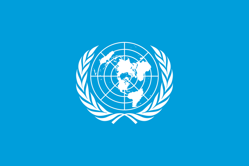 File:Flag UN.png